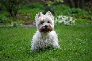 © 2012 Daniel G. Bernstein / DB-Designs