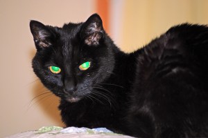 (c) 2012 Daniel G. Bernstein/DB-Designs